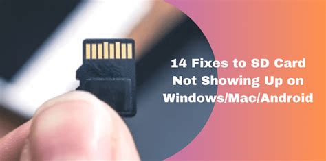 my sd card is not showing on my phone|How to Fix SD Card Not Showing Up on Any Device .